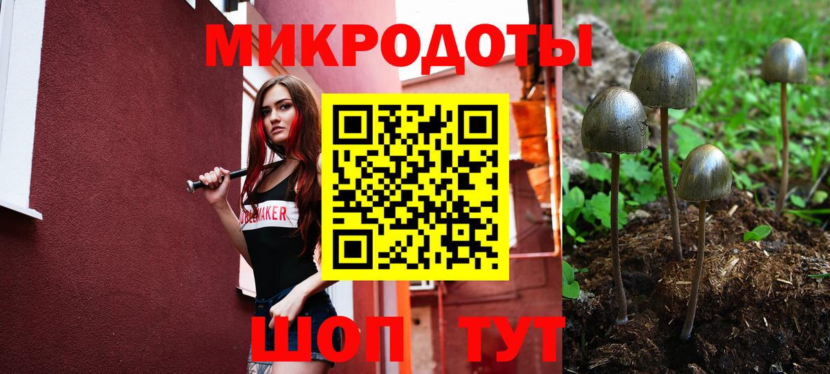 Галлюциногенные грибы Magic Shrooms  Вход с VPN  где найти   Октябрьский 